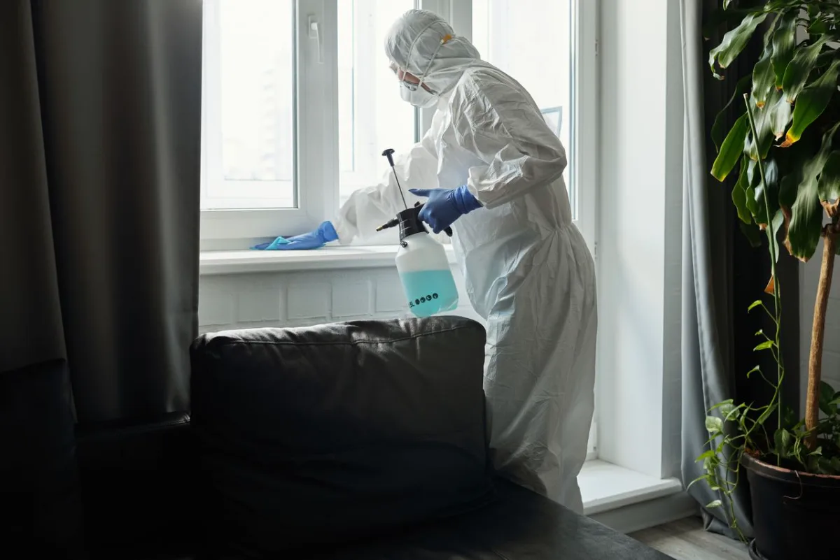 Idee de afacere: firmă de deratizare, dezinsecție și dezinfectie — plan complet de lansare